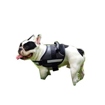 Wholesale custom dog harness for small dog